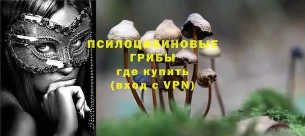 apvp Алексин