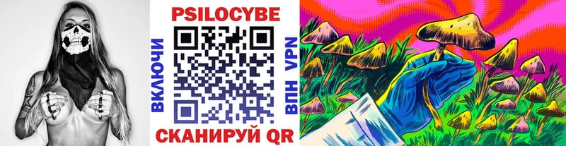 Псилоцибиновые грибы мицелий  Волхов 