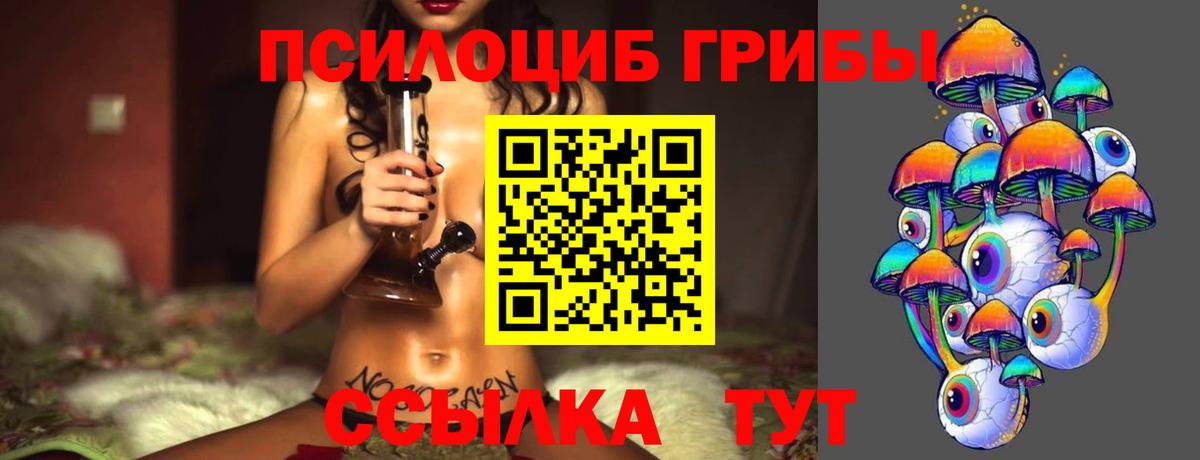 магазин продажи наркотиков  Галлюциногенные грибы Psilocybe  Галлюциногенные грибы ЛСД  Вход с VPN  Волхов 