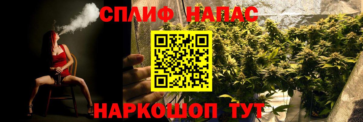 Бошки марихуана семена Волхов
